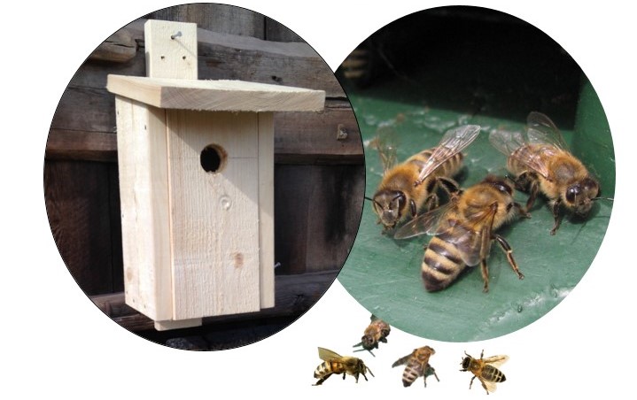 Holkar och bin på Hersby hembygdsgård