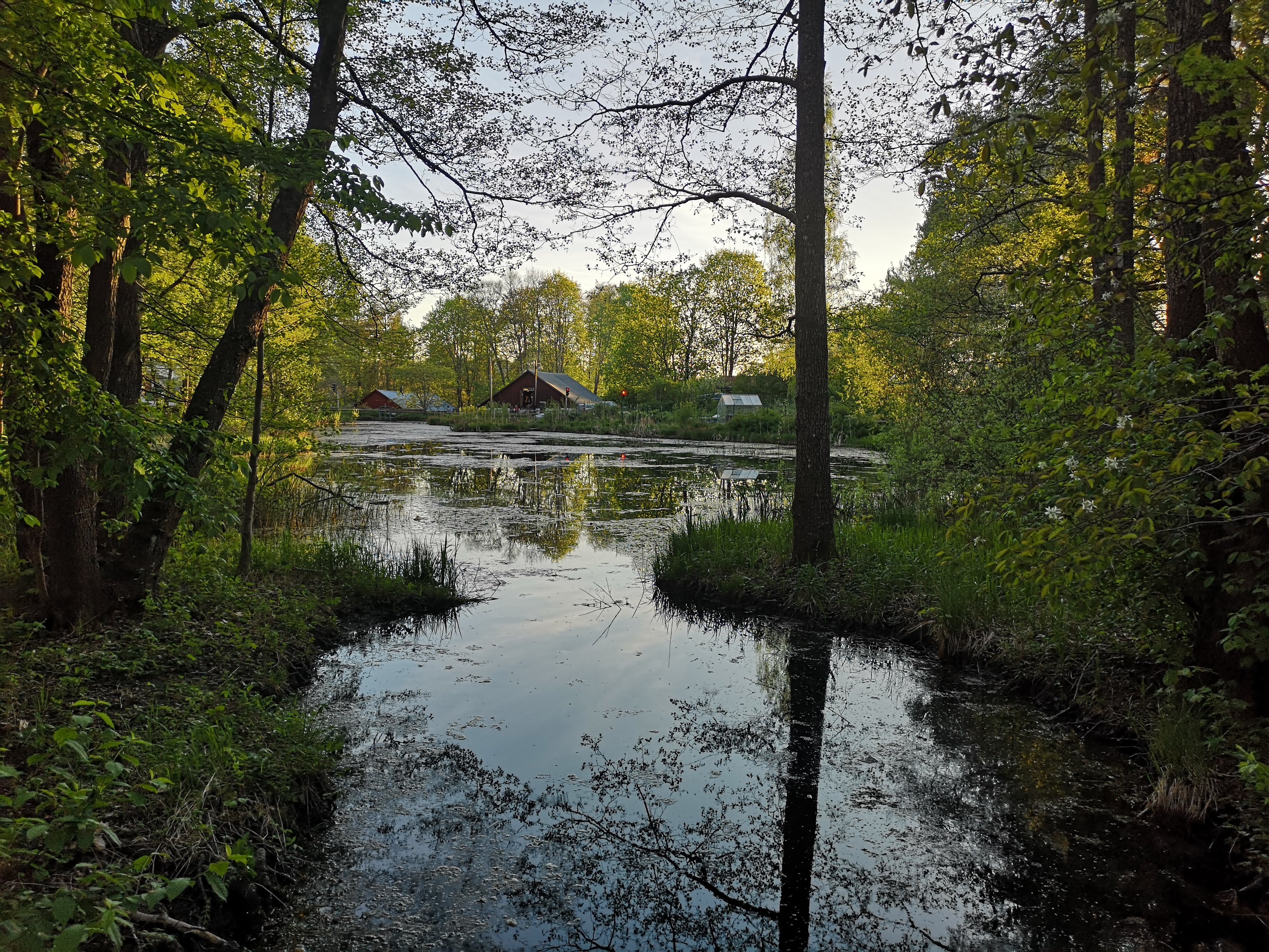 Landsnora kvarn och såg