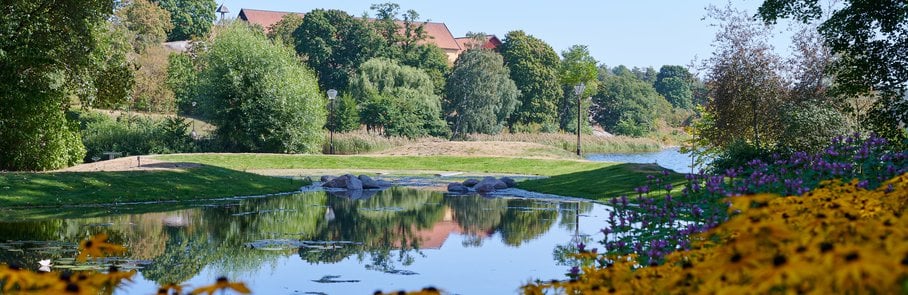 Dagvattendamm i Edsbergsparken