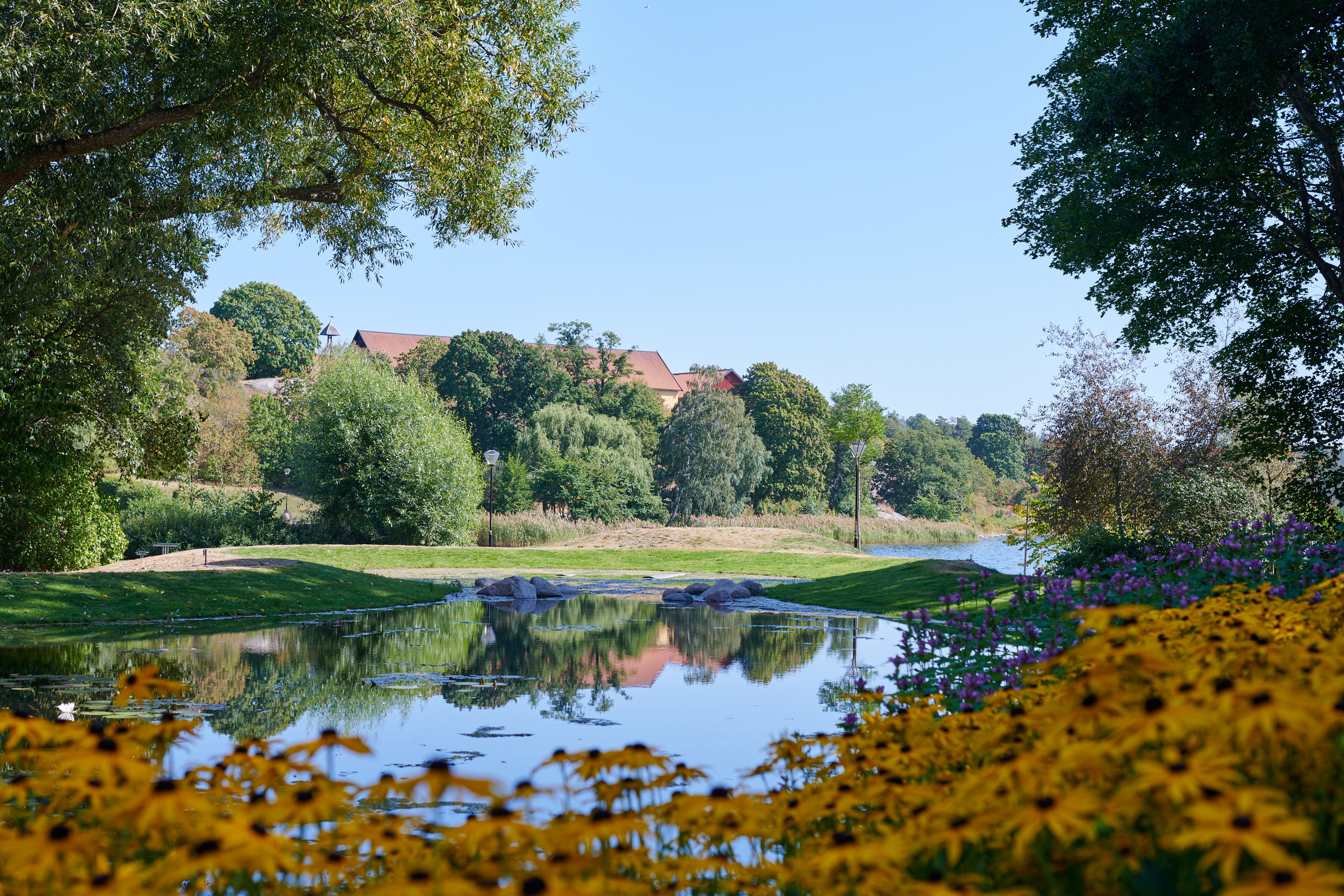 Dagvattendamm Edsbergsparken i Sollentuna