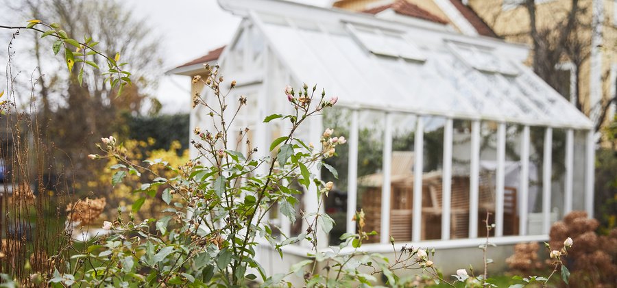 Växthus i villaträdgård.