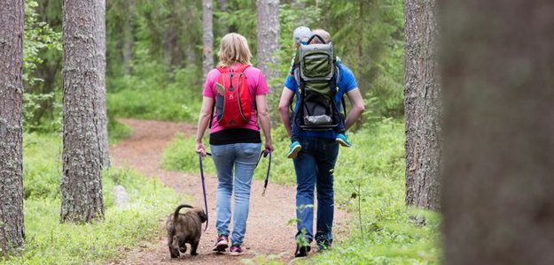 Vandra i skogen