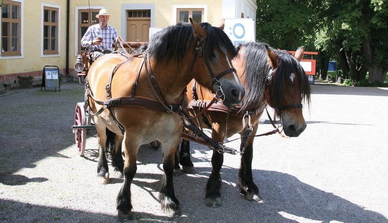 Häst och vagn vid Edsbergs slott