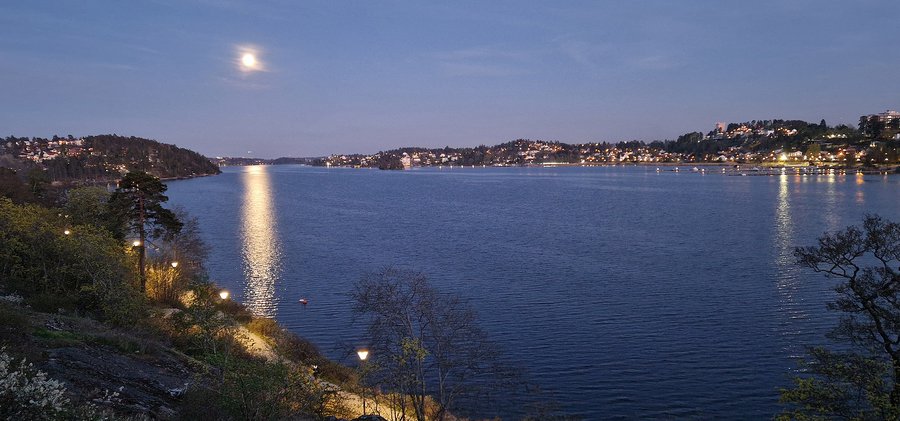 Edsviken i månsken