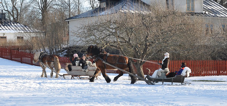 Slädparti i Edsbergsparken.