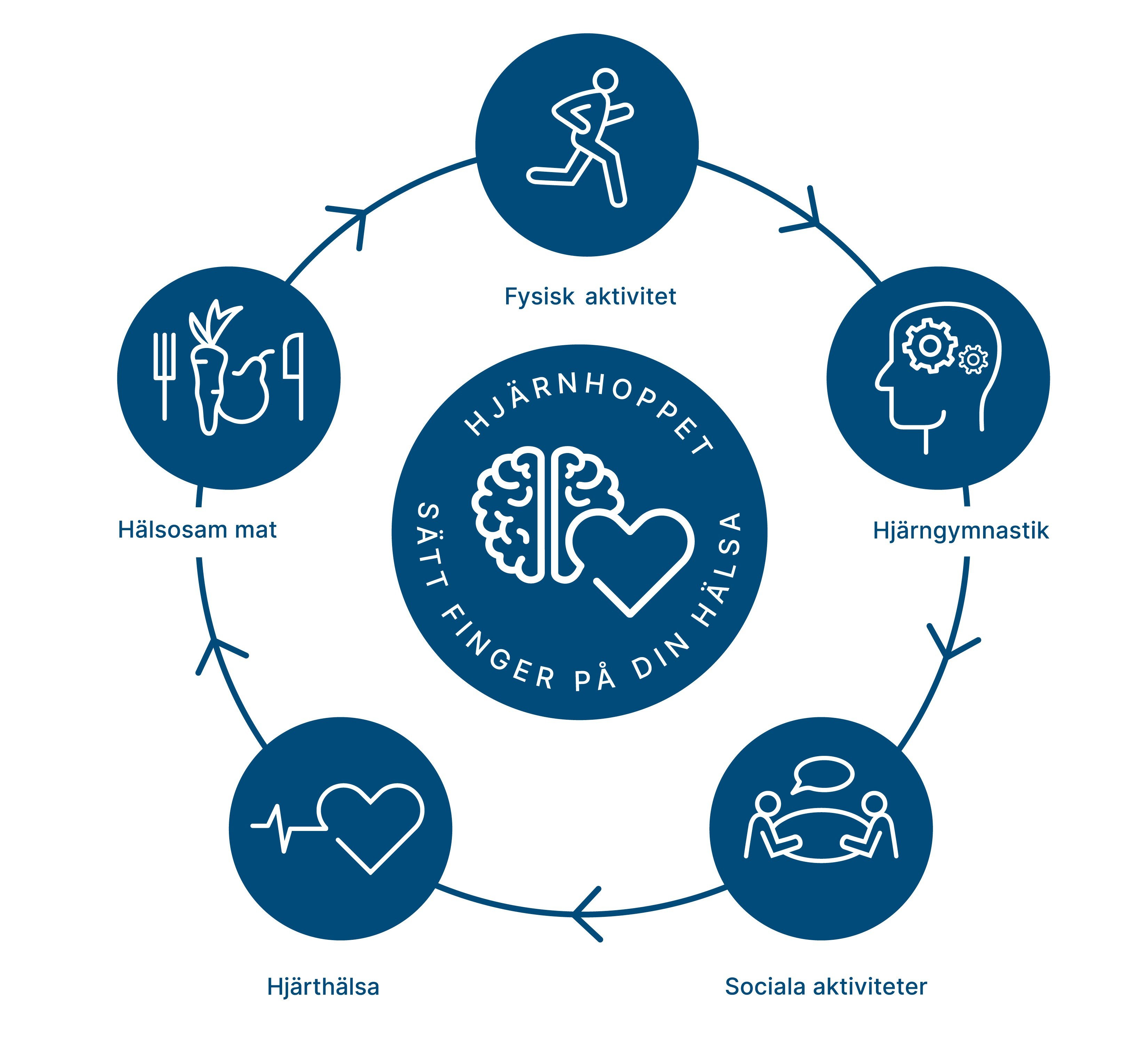 hj&auml;rnhoppet cirkel