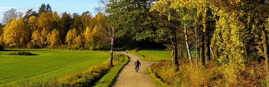 En person som cyklar på en grusväg.