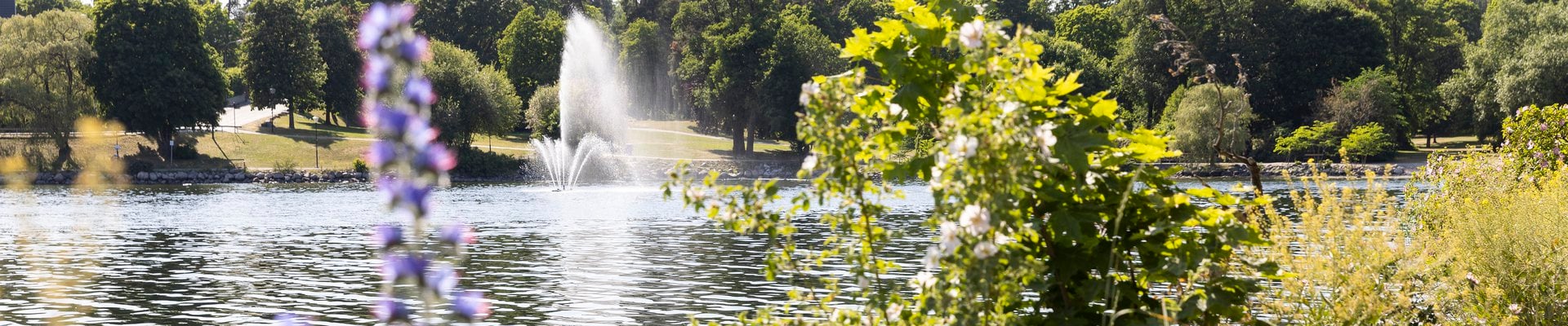 Sommar i Edsvik