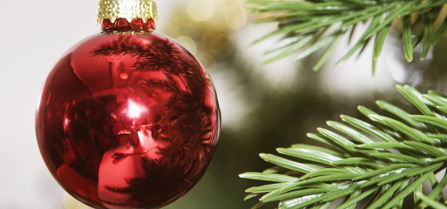 Röd julgranskula i gran