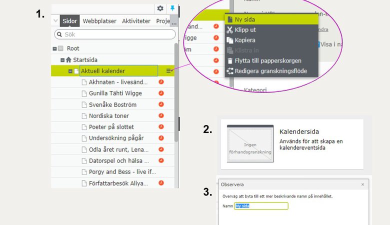 Skapa ny kalenderhändelse – välj Ny sida, Kalendersida och namnge den.