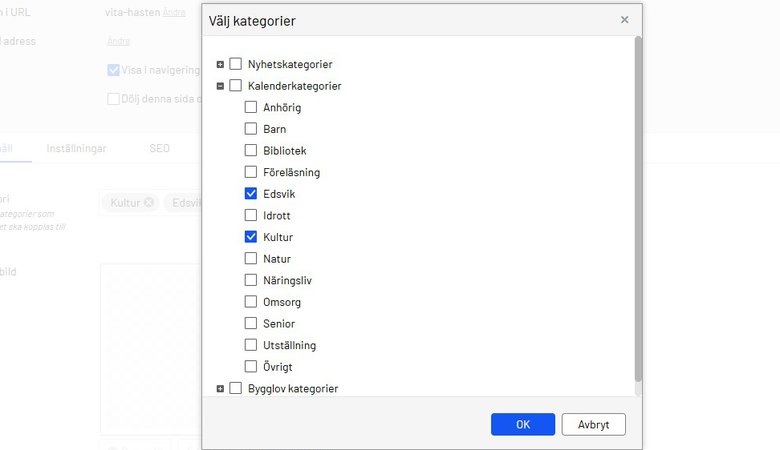 Vy för att välja kategorier i Episerver. Kategorierna "Barn", "Edsvik" och "Kultur" är markerade under rubriken "Kalenderkategorier".