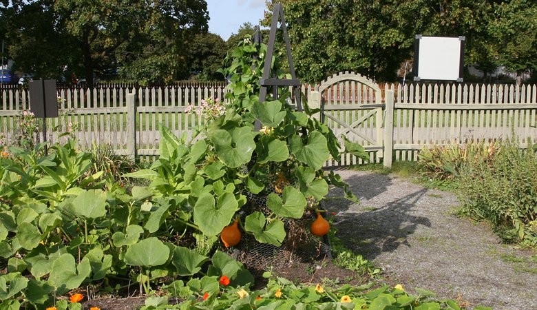 Edsviks köksträdgård