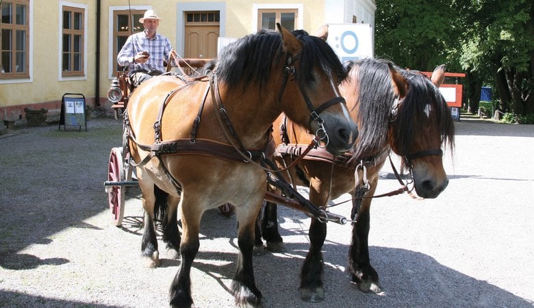 Några hästar som drar en vagn längs en gata.