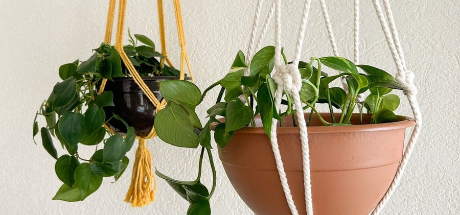 Foto av två blomkrukor upphängda med hjälp av makramé.