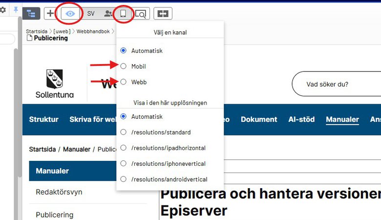 Förhandsgranskning i redaktörsläget i Episerver. 