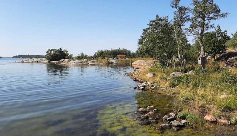 Sommarbild