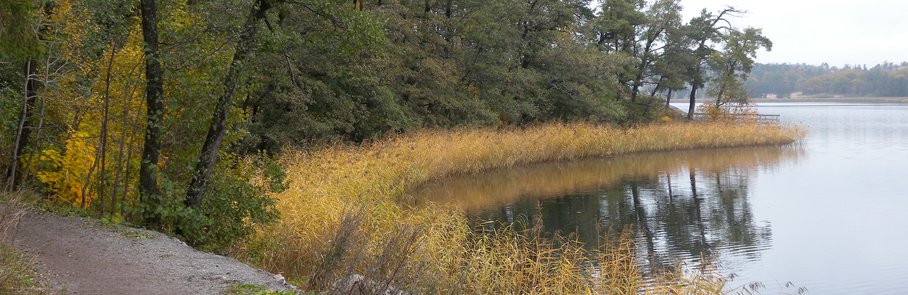 Strandspromenaden i Tegelhagsskogens naturreservat