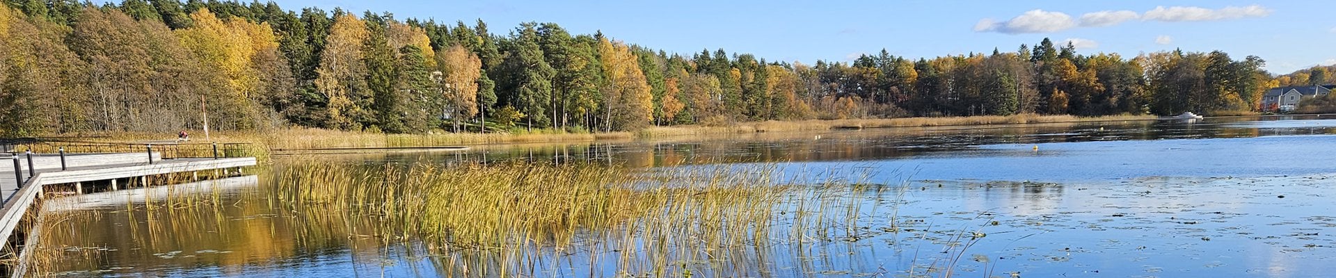 Ett vattendrag i Väsjön omgiven av en skog.