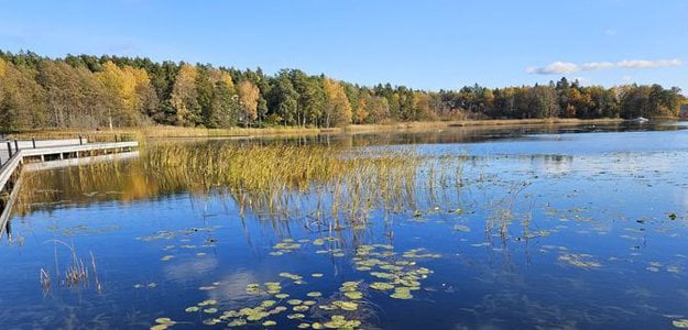 Ett vattendrag i Väsjön omgiven av en skog.